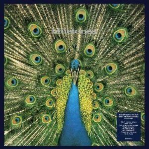 Expecting To Fly (25th Anniversary Edition)