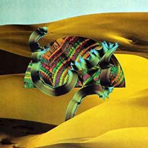 Django Django (10th Anniversary Edition)