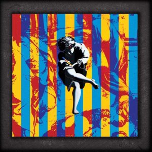 Use Your Illusion (Super Deluxe)